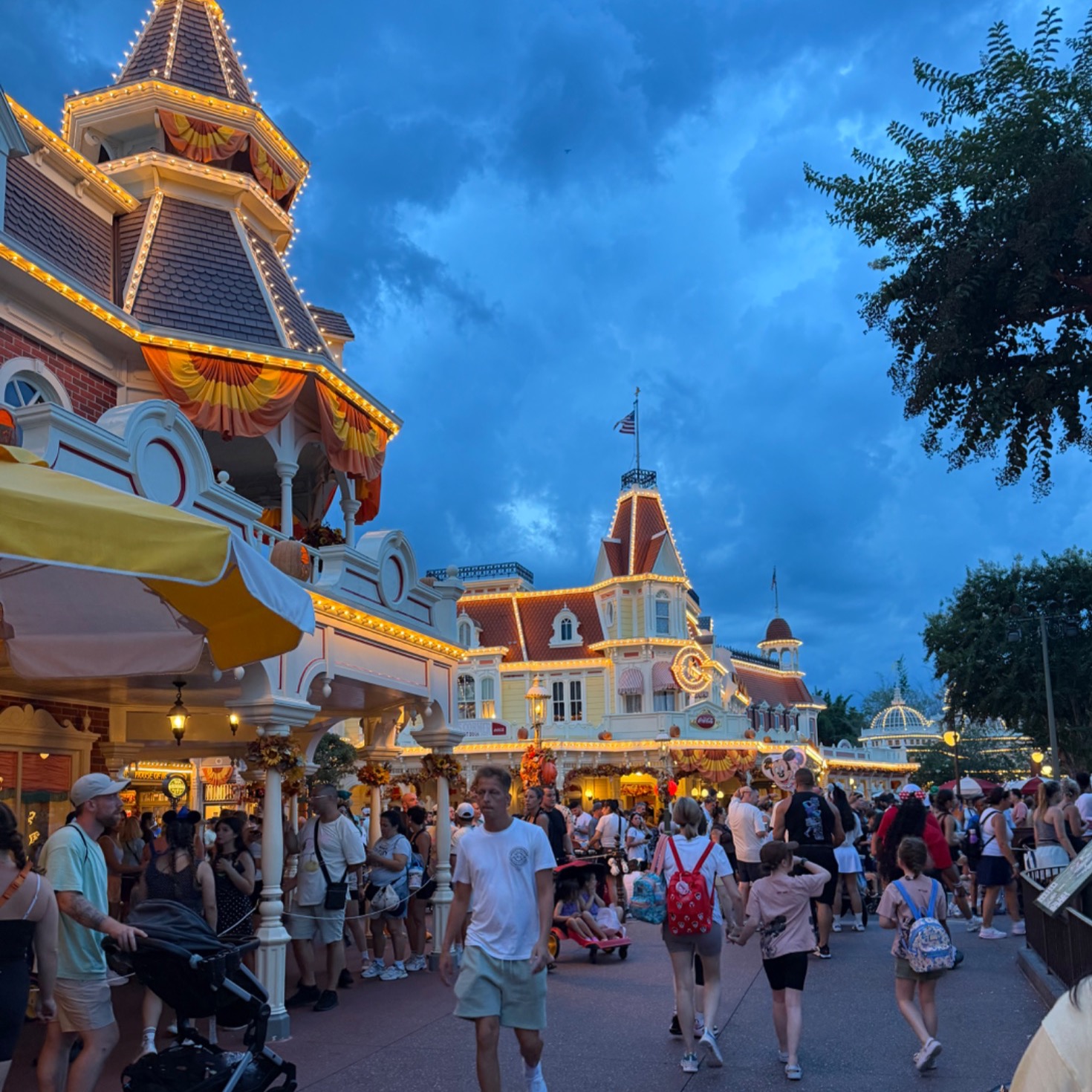 Dream Bound Travel — Disney park at dusk